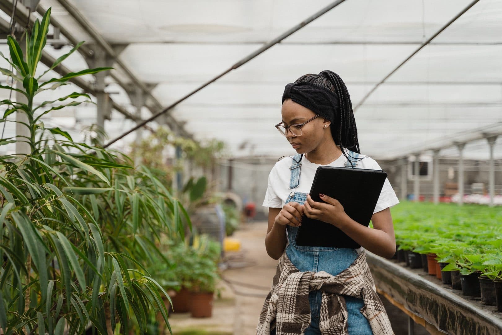 Agricultural quality control specialist inspecting Nigerian commodities for export readiness